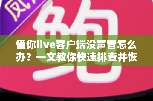 懂你live客户端没声音怎么办？一文教你快速排查并恢复直播声音的实用指南