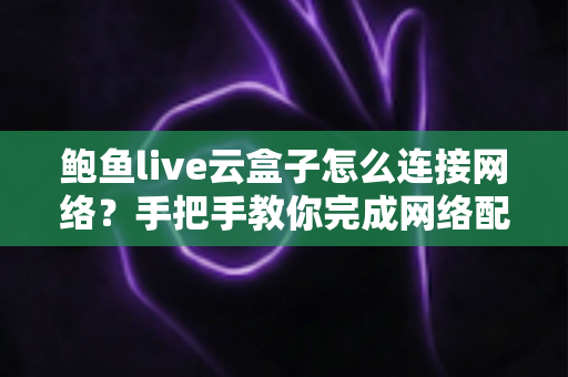 鲍鱼live云盒子怎么连接网络?手把手教你完成网络配置的保姆级教程 鲍鱼live云盒子怎么连接网络?手把手教你完成网络配置的保姆级教程