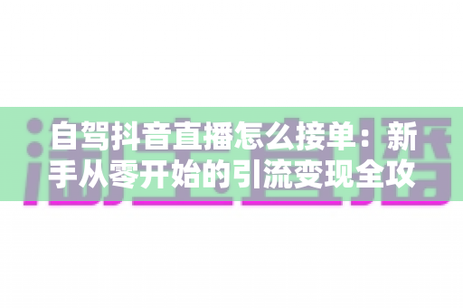 自驾抖音直播怎么接单：新手从零开始的引流变现全攻略