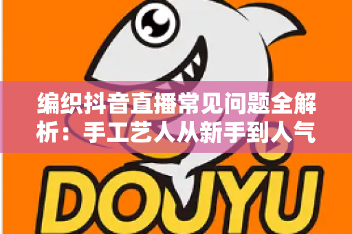 编织抖音直播常见问题全解析:手工艺人从新手到人气主播的实战指南 编织抖音直播常见问题全解析:手工艺人从新手到人气主播的实战指南