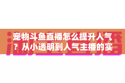 宠物斗鱼直播怎么提升人气?从小透明到人气主播的实战养成指南 宠物斗鱼直播怎么提升人气?从小透明到人气主播的实战养成指南