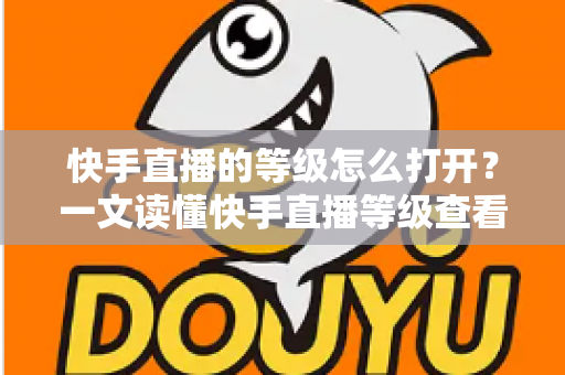 快手直播的等级怎么打开？一文读懂快手直播等级查看方法与快速提升技巧