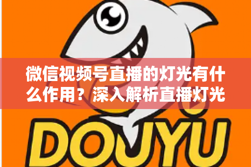 微信视频号直播的灯光有什么作用？深入解析直播灯光的重要性与实用布光技巧