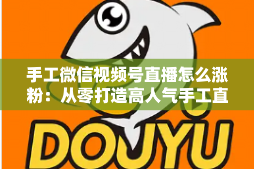 手工微信视频号直播怎么涨粉:从零打造高人气手工直播间的实战指南 手工微信视频号直播怎么涨粉:从零打造高人气手工直播间的实战指南