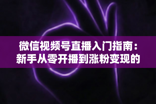 微信视频号直播入门指南：新手从零开播到涨粉变现的全流程详解
