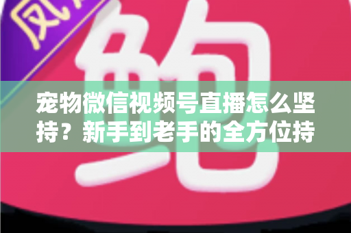 宠物微信视频号直播怎么坚持？新手到老手的全方位持久运营指南