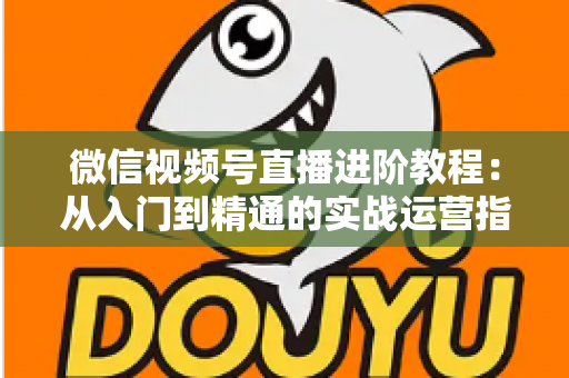 微信视频号直播进阶教程：从入门到精通的实战运营指南