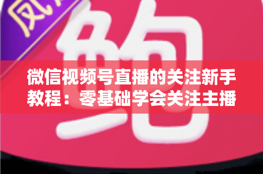 微信视频号直播的关注新手教程：零基础学会关注主播与快速涨粉的完整实操指南