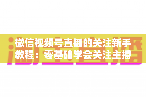 微信视频号直播的关注新手教程：零基础学会关注主播与快速涨粉的完整实操指南