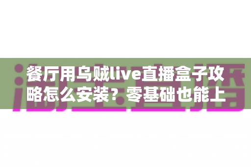 餐厅用乌贼live直播盒子攻略怎么安装？零基础也能上手的完整安装教程与引流实战指南